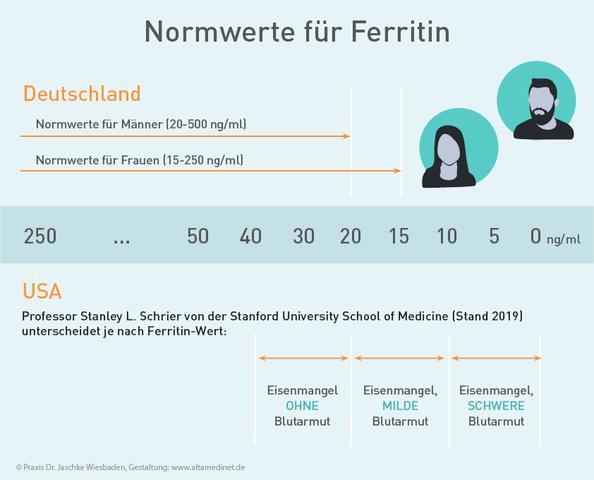 Ferritin-Werte: Normbereiche und mögliche Krankheitsindikationen Ferritin-Werte: Normbereiche und mögliche Krankheitsindikationen