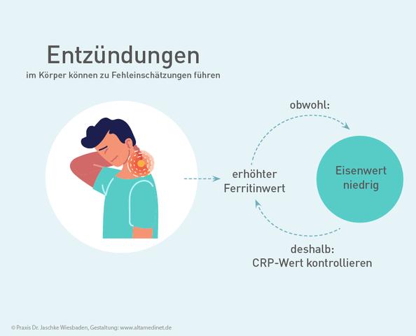 Eisenmangel oder Hämochromatose? Die Rolle von Ferritin bei der Diagnose Eisenmangel oder Hämochromatose? Die Rolle von Ferritin bei der Diagnose
