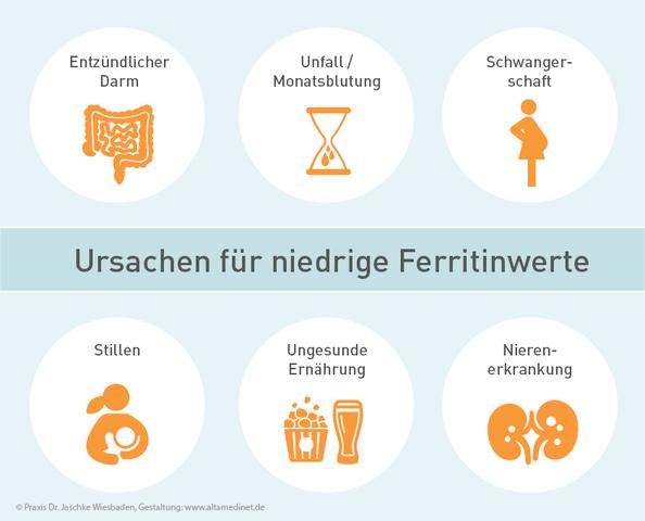 Ferritin: Funktion, Werte und mögliche Ursachen für Abweichungen Ferritin: Funktion, Werte und mögliche Ursachen für Abweichungen
