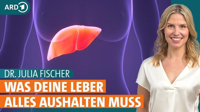 Warum keine Zwiebeln bei Fettleber? Die Wahrheit über den Mythos Warum keine Zwiebeln bei Fettleber? Die Wahrheit über den Mythos