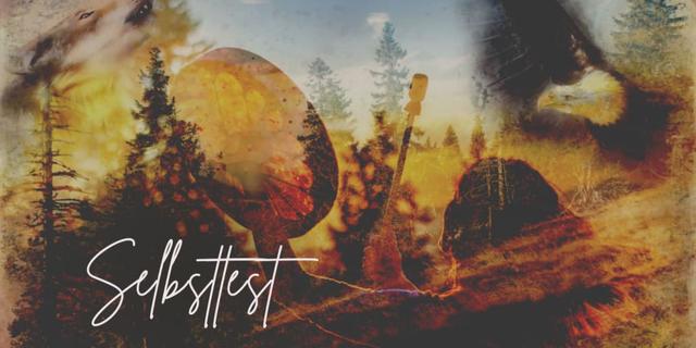 Die Bedeutung von Krafttieren: Wie sie uns helfen und leiten Die Bedeutung von Krafttieren: Wie sie uns helfen und leiten