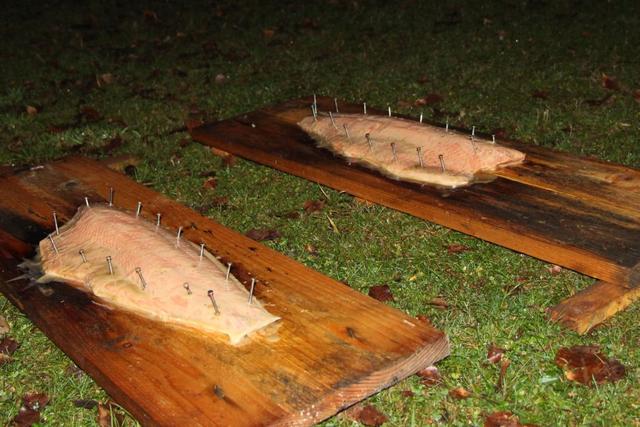 Flammlachsbretter selber bauen: Eine einfache Anleitung für ein besonderes Geschmackserlebnis