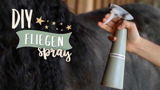 DIY-Fliegenspray für Pferde: Einfach und effektiv