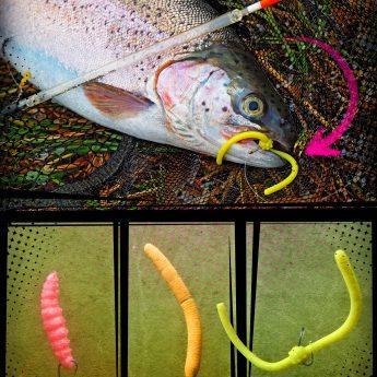 Schwimmender oder sinkender Forellenteig? Die richtige Wahl beim Angeln