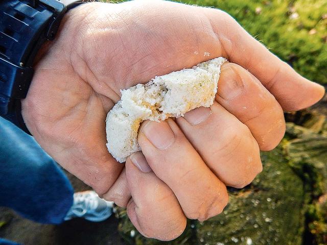 Fängige Forellenköder selbst herstellen: Tipps für die Herstellung von Forellenteig