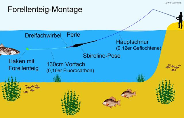Von der Grundmontage zur Posenmontage: Wann sollte man den Köder wechseln?