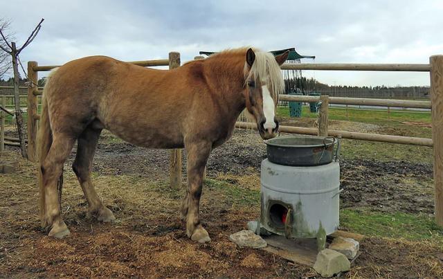 Selbstgemachte Lösungen für eine frostsichere Tränke ohne Strom Selbstgemachte Lösungen für eine frostsichere Tränke ohne Strom