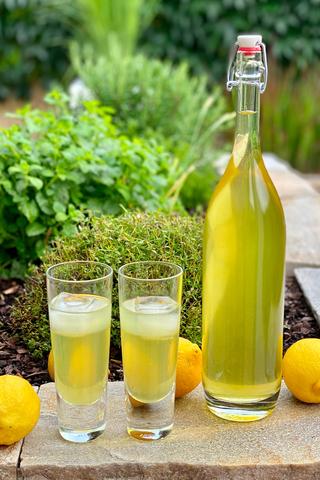 Selbstgemachter Limoncello: Der perfekte Drink für den Sommer Selbstgemachter Limoncello: Der perfekte Drink für den Sommer