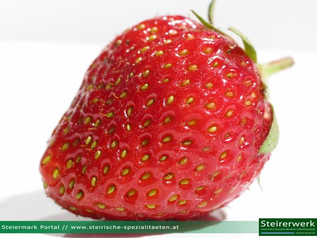 Genuss pur: Selbstgepflückte Erdbeeren aus Wallersdorf - ein Geschmackserlebnis