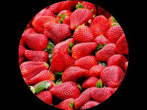 Wallersdorf: Selbstgepflückte Erdbeeren direkt vom Feld genießen