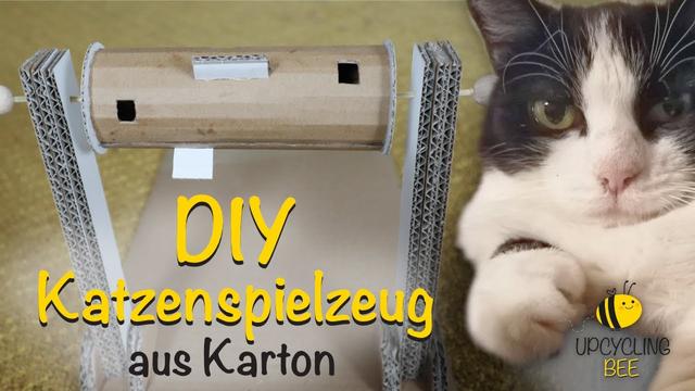 Abwechslung und Belohnung: Selbstgemachtes Fummelbrett als intelligente Beschäftigung für Ihre Katze Abwechslung und Belohnung: Selbstgemachtes Fummelbrett als intelligente Beschäftigung für Ihre Katze