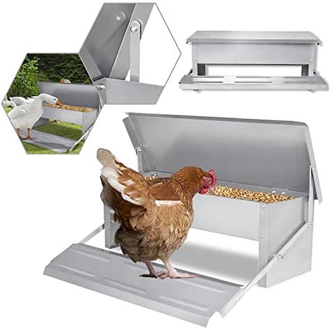 Futterautomat für Hühner selber bauen Praktische Tipps und Anleitungen