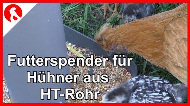 Video-Anleitung: Schritt-für-Schritt-Anleitung zum Bau eines Do-it-yourself-Hopper-Feeders für Hühner