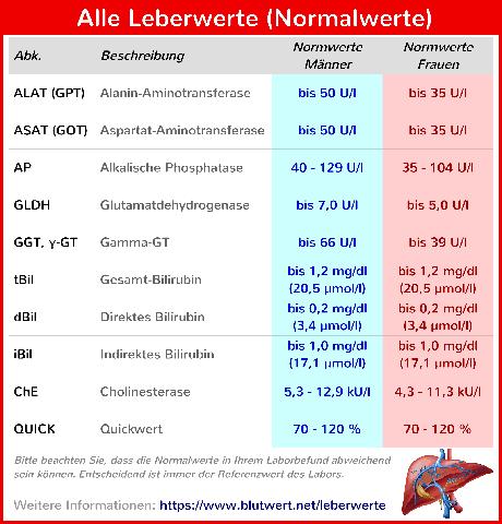 Der Einfluss von Alkohol auf den Gamma-GT-Wert: Wie hoch kann er steigen? Der Einfluss von Alkohol auf den Gamma-GT-Wert: Wie hoch kann er steigen?