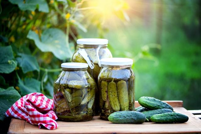 Köstliche Gewürzgurken selbst gemacht: Schritt-für-Schritt-Anleitung Köstliche Gewürzgurken selbst gemacht: Schritt-für-Schritt-Anleitung