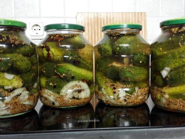 Selbstgemachte Gewürzgurken: Rezept für köstliche Einlegegurken Selbstgemachte Gewürzgurken: Rezept für köstliche Einlegegurken