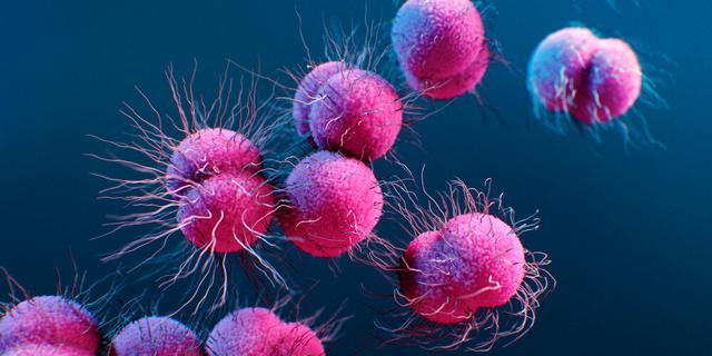 Selbstheilung bei Gonorrhoe: Ist das möglich? Selbstheilung bei Gonorrhoe: Ist das möglich?