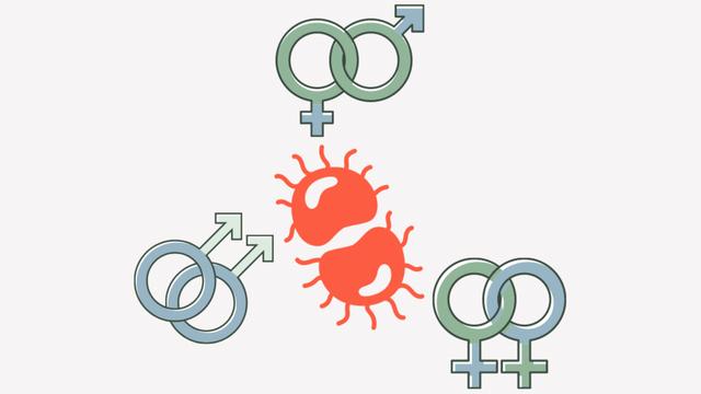 Kann man auf eine Behandlung bei Gonorrhoe verzichten? Kann man auf eine Behandlung bei Gonorrhoe verzichten?