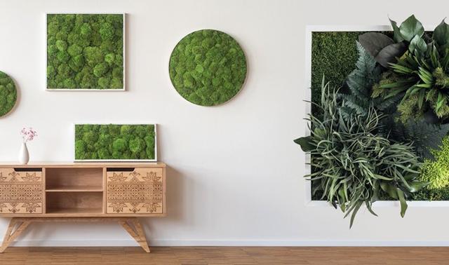 Pflanzenwand selber machen: Tipps und Tricks für dein grünes Wandprojekt