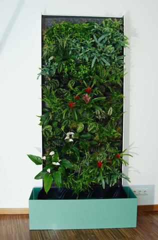 Pflanzenwand selber bauen: Anleitung für eine grüne Wandgestaltung