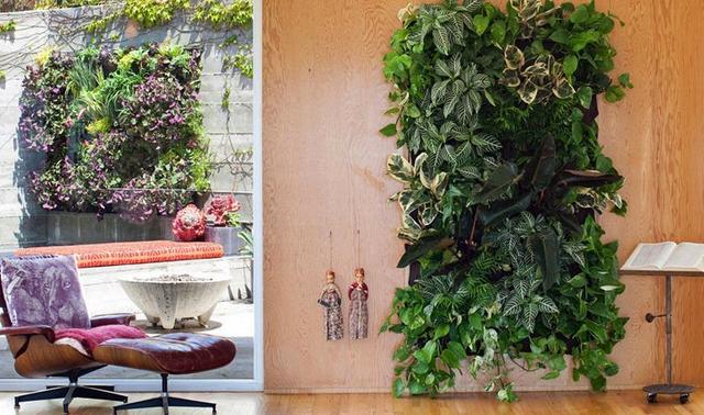 DIY Ideen: Eine Pflanzenwand ganz einfach selbst bauen