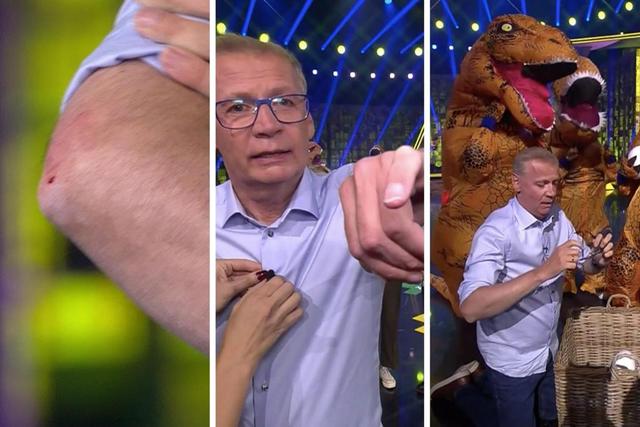 Günther Jauch verletzt sich vor laufender Kamera bei "Denn sie wissen nicht, was passiert" Günther Jauch verletzt sich vor laufender Kamera bei "Denn sie wissen nicht, was passiert"