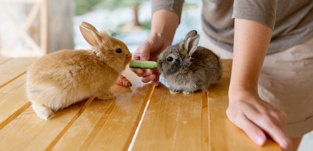 Gesundheitsrisiken vermeiden: Die Dos and Don