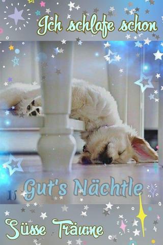 Erholsame Nacht: Gute Träume und süßer Schlaf Erholsame Nacht: Gute Träume und süßer Schlaf