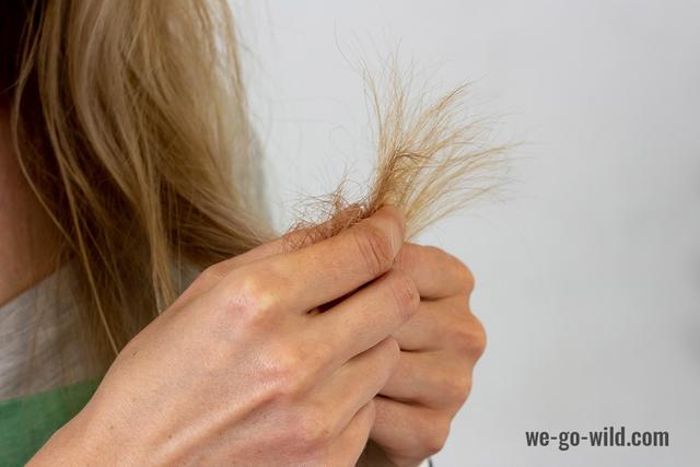 Haarbruch stoppen: Tipps und Tricks für gesundes Haar Haarbruch stoppen: Tipps und Tricks für gesundes Haar