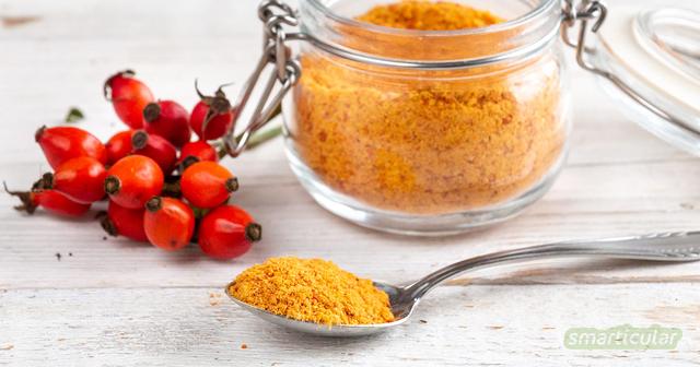 Arthrose und rheumatische Beschwerden lindern: Hagebuttenpulver zum Selbermachen Arthrose und rheumatische Beschwerden lindern: Hagebuttenpulver zum Selbermachen