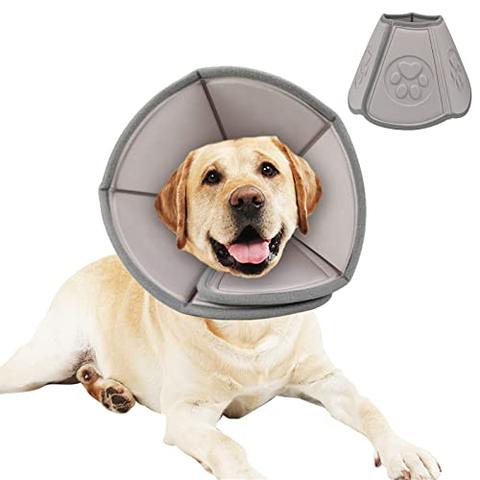 DIY Halskrause für kranke Hunde: So geht