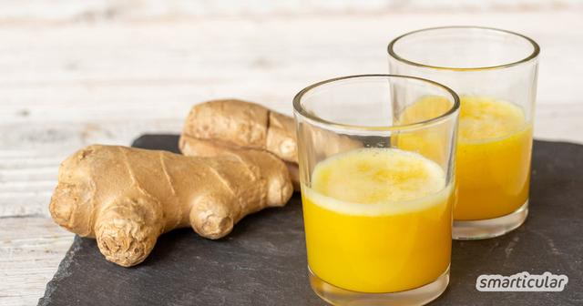 Ingwersaft selbst herstellen: Tipps und Tricks für eine längere Haltbarkeit Ingwersaft selbst herstellen: Tipps und Tricks für eine längere Haltbarkeit
