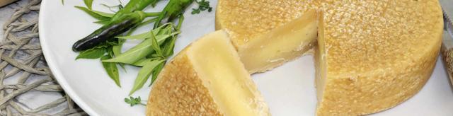 Schmackhafter Bergkäse selbst gemacht: Tipps und Tricks zur Herstellung Schmackhafter Bergkäse selbst gemacht: Tipps und Tricks zur Herstellung