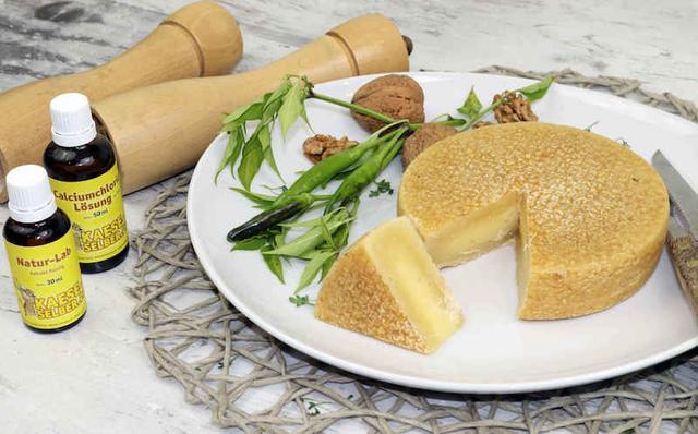 Hartkäse selber machen: Schritt-für-Schritt Anleitung Hartkäse selber machen: Schritt-für-Schritt Anleitung