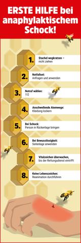 Praktische Tipps gegen Wespenstiche: Soforthilfe und Vorbeugung Praktische Tipps gegen Wespenstiche: Soforthilfe und Vorbeugung