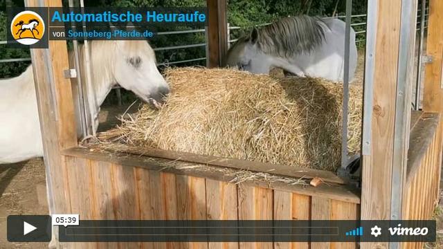 Heuraufe selber bauen: Praktische Lösung für die Fütterung von Pferden