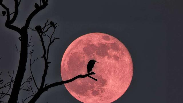 Welcher Mond ist heute am Himmel zu sehen?