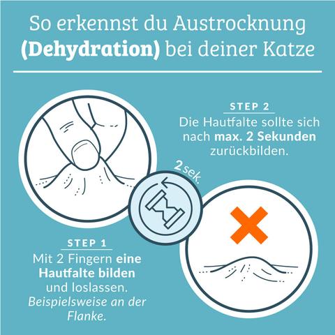 Wann sollte man sich Sorgen machen, wenn die Katze keinen Stuhlgang hat? Wann sollte man sich Sorgen machen, wenn die Katze keinen Stuhlgang hat?