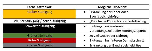 Katze kein Stuhlgang: Ab wann ist es bedenklich? Katze kein Stuhlgang: Ab wann ist es bedenklich?