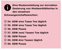 Himbeerblättertee in der Schwangerschaft: Ab wann und wie oft trinken?