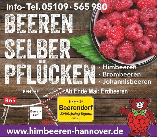 Selbstpflücke von Himbeeren: Erfahre, wo du diese leckeren Früchte ganz in deiner Nähe finden kannst.