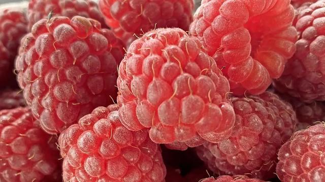 Himbeer-Selbstpflücke in der Umgebung: Finde heraus, wo du deine eigenen Beeren pflücken kannst!