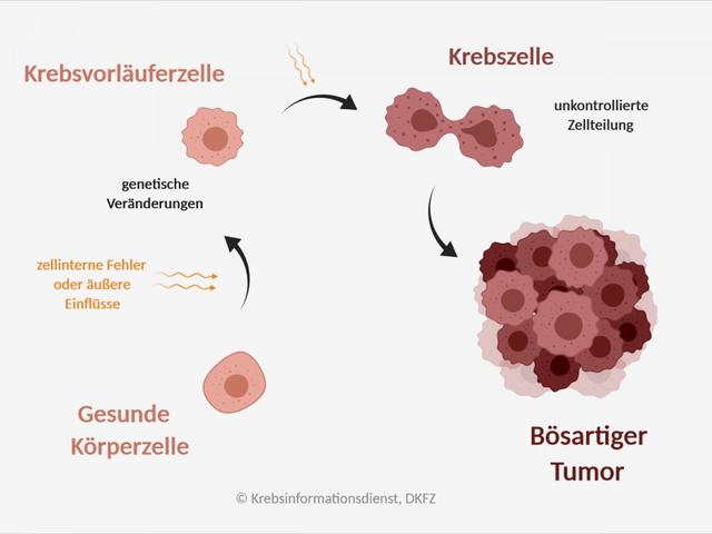3. Personalisierte Krebsmedizin: Neue Wege zur gezielten Abtötung von Tumorzellen