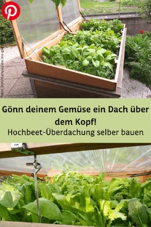 Gemüse das ganze Jahr über ernten: Hochbeet-Abdeckung selbst bauen
