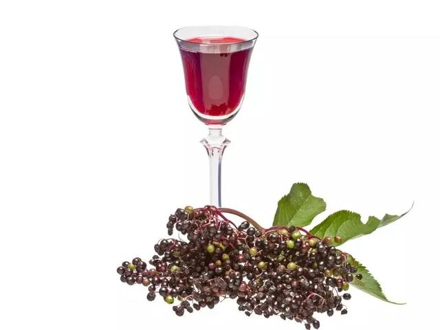 Schritt-für-Schritt-Anleitung: Holunderlikör selber machen Schritt-für-Schritt-Anleitung: Holunderlikör selber machen