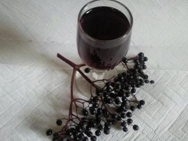 Leckeres Rezept: Selbstgemachter Hollerbuschlikör Leckeres Rezept: Selbstgemachter Hollerbuschlikör