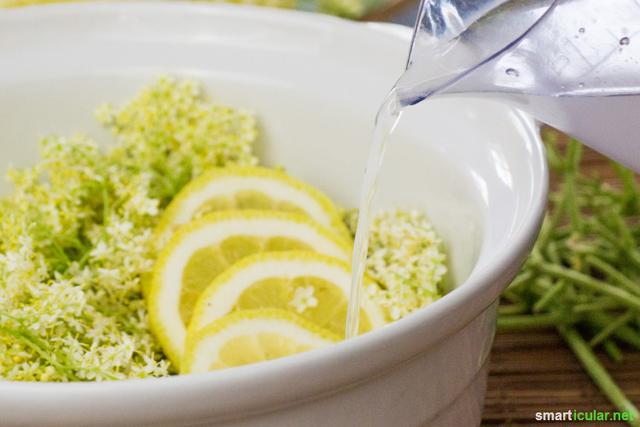 Frischer Holundersekt aus eigener Herstellung: Eine köstliche Alternative zum Kauf