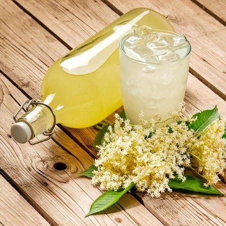 Genießen Sie den Sommer mit selbstgemachtem Holundersirup Genießen Sie den Sommer mit selbstgemachtem Holundersirup