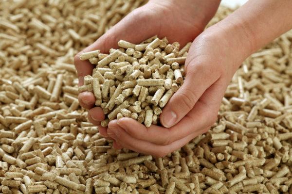 Holzpellets selber herstellen: Anleitung und Tipps Holzpellets selber herstellen: Anleitung und Tipps