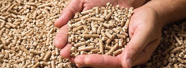 Lohnt es sich, Holzpellets selbst herzustellen?